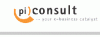 pi consult gmbh